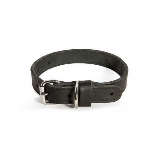 Nylon halsband met Cobra Buckle (XL)