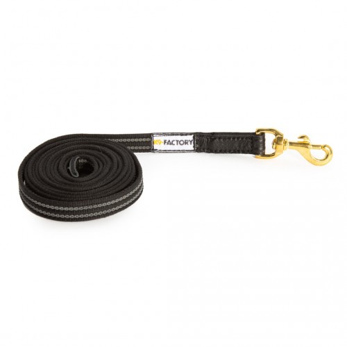 Short leash non-slip
